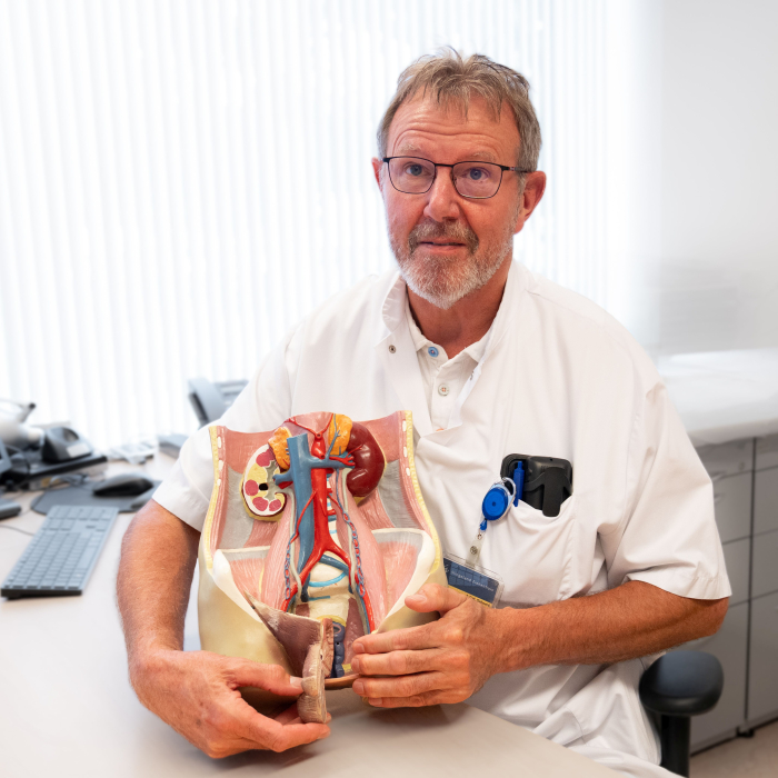 Uroloog Arno Geboers met een anatomisch model