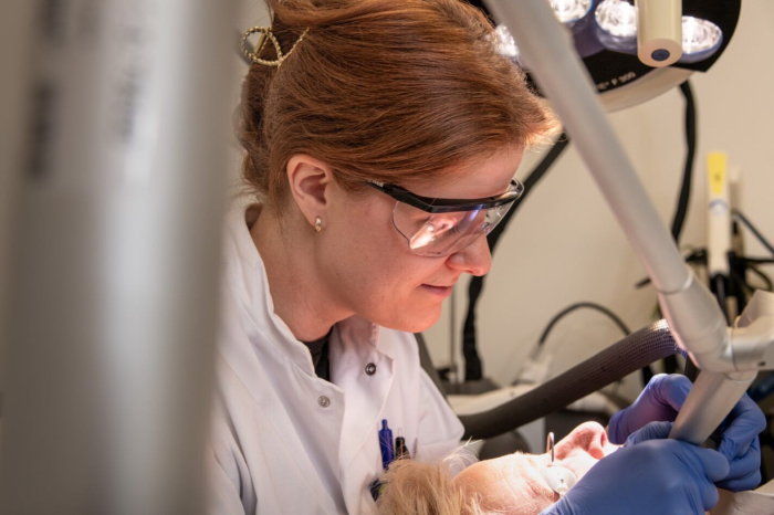 Leonie Rappard behandelt een patiënt met de CO2 laser. “Dit is de meest effectieve huidverbeterende behandeling.” Foto: Karel Peters