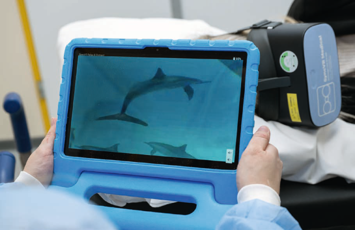 Het 2D beeld op de tablet. ©foto Toon Hendriks