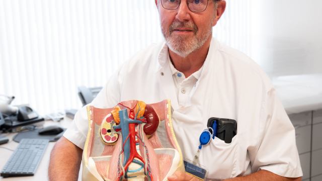 Uroloog Arno Geboers met een anatomisch model